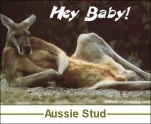 funny-picture-1354