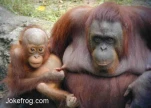 funny-picture-1635