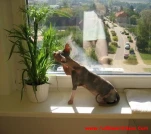 funny-picture-818