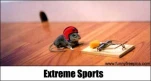 funny-picture-1393