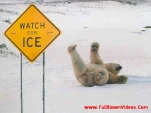 funny-picture-1997