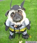 funny-picture-1119