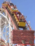 funny-picture-4510