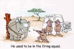 funny-picture-1836