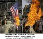 funny-picture-2524