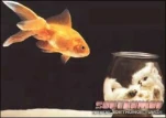 funny-picture-1994