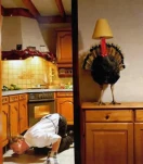 funny-picture-3837