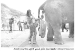 funny-picture-3634