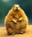 funny-picture-1356