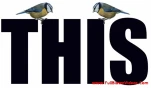 funny-picture-4734