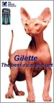 funny-picture-3150