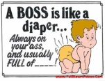 funny-picture-36