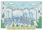 funny-picture-2289