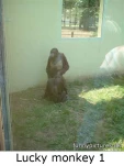 funny-picture-3015