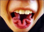 funny-picture-2137