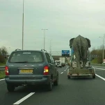 funny-picture-4497