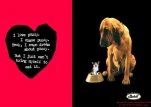 funny-picture-4077