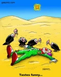 funny-picture-1578