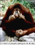 funny-picture-1407