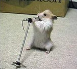 funny-picture-180