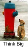 funny-picture-3019