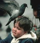 funny-picture-1201