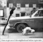 funny-picture-4375