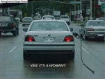funny-picture-3744