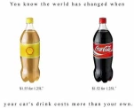 funny-picture-496