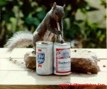 funny-picture-900