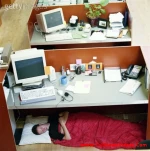 funny-picture-2874