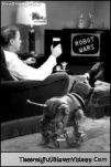 funny-picture-723