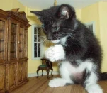 funny-picture-3411