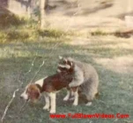 funny-picture-653