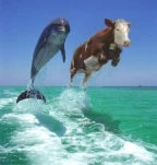 funny-picture-5360