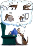 funny-picture-5380