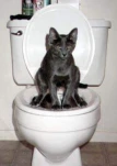 funny-picture-3279