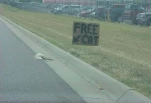 funny-picture-1317