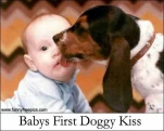 funny-picture-2151