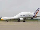 funny-picture-3702