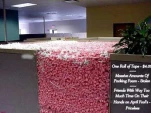 funny-picture-2849