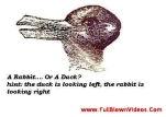 funny-picture-4349