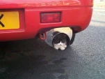 funny-picture-5126