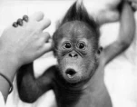 funny-picture-3686