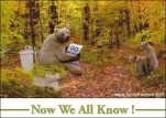 funny-picture-4721