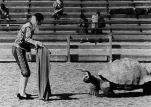 funny-picture-1835