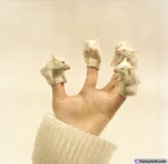 funny-picture-175