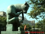 funny-picture-1614