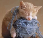 funny-picture-4362