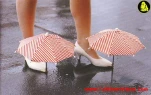funny-picture-5152